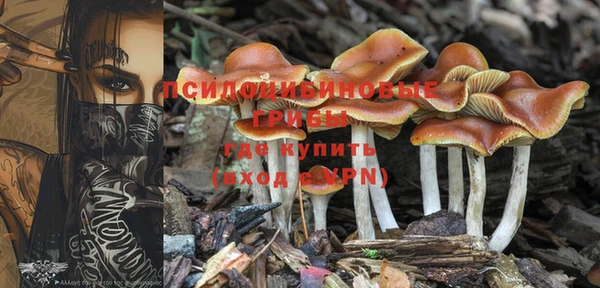 PSILOCYBIN Володарск